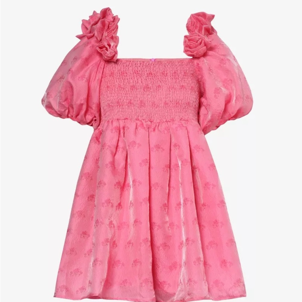 Sister Jane Dream Pink Dress with Roses Small & XS NWT